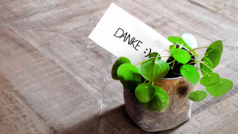 Tiefgreifende und wundervolle Arbeit erfahren