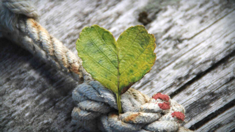 Schön, dass es euch gibt