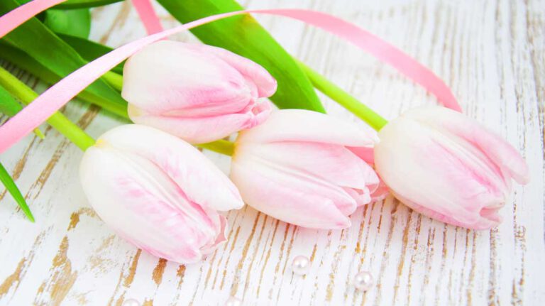 All die Erfahrungen und neuen Impulse